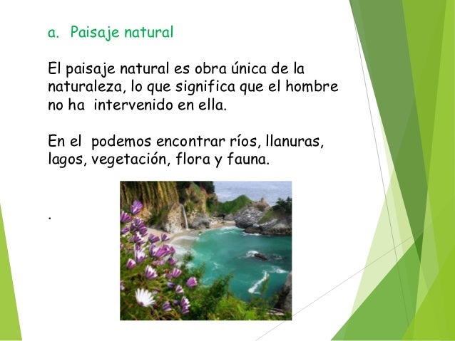 Tipos de paisaje