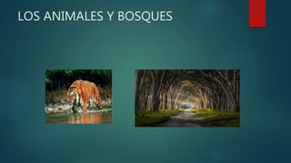 LOS ANIMALES Y BOSQUES
 