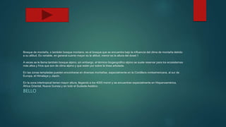 Bosque de montaña, o también bosque montano, es el bosque que se encuentra bajo la influencia del clima de montaña debido
a su altitud. Es variable, en general cuanto mayor es la altitud, menor es la altura del dosel.1
A veces se le llama también bosque alpino, sin embargo, el término biogeográfico alpino se suele reservar para los ecosistemas
más altos y fríos que son de clima alpino y que están por sobre la línea arbolada.
En las zonas templadas pueden encontrarse en diversas montañas, especialmente en la Cordillera norteamericana, al sur de
Europa, el Himalaya y Japón.
En la zona intertropical tienen mayor altura, llegando a los 4000 msnm y se encuentran especialmente en Hispanoamérica,
África Oriental, Nueva Guinea y en todo el Sudeste Asiático.
BELLO
 