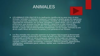 ANIMALES
 LOS ANIMALES SON UNA FUE En la clasificación científica de los seres vivos, el reino
Animalia (‘animales’) o Metazoo (‘metazoos’) constituye un amplio grupo de organismos
que son eucariotas, heterótrofos, pluricelulares y tisulares. Se caracterizan por su amplia
capacidad de movimiento, por no tener cloroplasto ni pared celular y por su desarrollo
embrionario; que atraviesa una fase de blástula y determina un plan corporal fijo
(aunque muchas especies pueden sufrir una metamorfosis posterior). Los animales
forman un grupo natural estrechamente emparentado con los hongos. Animalia es uno
de los cuatro reinos del dominio Eucariota, y a él pertenece el ser humano.
 Los filos animales más conocidos aparecen en el registro fósil durante la denominada
explosión cámbrica, producida en los mares de hace unos 542 a 530 millones de años.
Los animales se dividen en varios subgrupos, algunos de los cuales son: esponjas,
cnidarios (medusas, corales), anélidos (lombrices, sanguijuelas), artrópodos (milpiés,
ciempiés, insectos, arañas, escorpiones, crustáceos), moluscos (bivalvos, gasterópodos,
cefalópodos), vertebrados (peces, anfibios, reptiles, aves, mamíferos).NTE DE LA
NATURALEZA
 