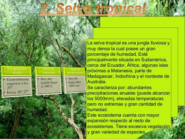 La Selva Tropical