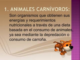 Son organismos que obtienen sus
energías y requerimientos
nutricionales a través de una dieta
basada en el consumo de animales,
ya sea mediante la depredación o
consumo de carroña.