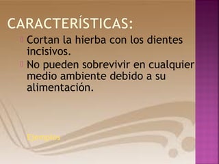  Cortan la hierba con los dientes
incisivos.
No pueden sobrevivir en cualquier
medio ambiente debido a su
alimentación.
Ejemplos