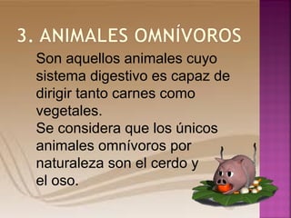 Son aquellos animales cuyo
sistema digestivo es capaz de
dirigir tanto carnes como
vegetales.
Se considera que los únicos
animales omnívoros por
naturaleza son el cerdo y
el oso.