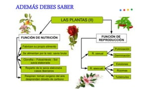 ADEMAS DEBES SABER QUE .
ADEMAS DEBES SABER QUE .
ADEMÁS DEBES SABER
 