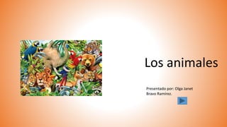 Los animales
Presentado por: Olga Janet
Bravo Ramírez.
 
