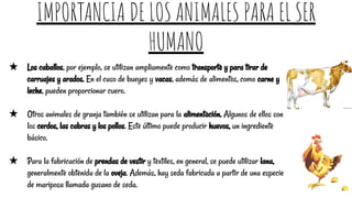 IMPORTANCIA DE LOS ANIMALES PARA EL SER
HUMANO
★ Los caballos, por ejemplo, se utilizan ampliamente como transporte y para tirar de
carruajes y arados. En el caso de bueyes y vacas, además de alimentos, como carne y
leche, pueden proporcionar cuero.
★ Otros animales de granja también se utilizan para la alimentación. Algunos de ellos son
los cerdos, las cabras y los pollos. Este último puede producir huevos, un ingrediente
básico.
★ Para la fabricación de prendas de vestir y textiles, en general, se puede utilizar lana,
generalmente obtenida de la oveja. Además, hay seda fabricada a partir de una especie
de mariposa llamada gusano de seda.
 
