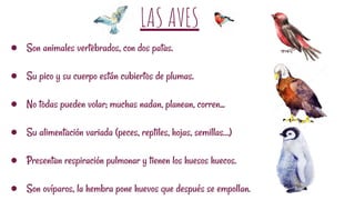 LAS AVES
● Son animales vertebrados, con dos patas.
● Su pico y su cuerpo están cubiertos de plumas.
● No todas pueden volar; muchas nadan, planean, corren...
● Su alimentación variada (peces, reptiles, hojas, semillas…)
● Presentan respiración pulmonar y tienen los huesos huecos.
● Son ovíparos, la hembra pone huevos que después se empollan.
 