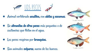 LOS PECES
● Animal vertebrado acuático, con aletas y escamas.
● Se alimentan de otros peces más pequeños o de
sustancias que flotan en el agua.
● Los peces respiran por branquias.
● Son animales ovíparos, nacen de los huevos.
 