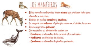 LOS MAMÍFEROS
● Estos animales vertebrados tienen mamas que producen leche para
alimentar a sus crías.
● Habitan en medios terrestres y acuáticos.
● La mayoría son vivíparos, al principio crecen en el vientre de sus ma
● Tienen respiración pulmonar.
● Con respecto a su alimentación pueden ser:
- Carnívoros: se alimentan de la carne de otros animales.
- Herbívoros: se alimentan de plantas.
- Omnívoros: se alimentan de plantas y animales.
 
