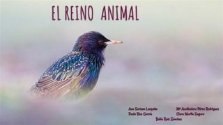 EL REINO ANIMAL
Ana Soriano Losquiño Mª Auxiliadora Pérez Rodríguez
Paola Ríos García Clara Martín Segura
Belén Ruiz Sánchez
 