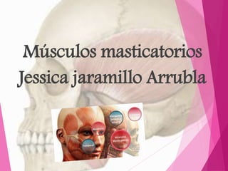 Músculos masticatorios
Jessica jaramillo Arrubla
 
