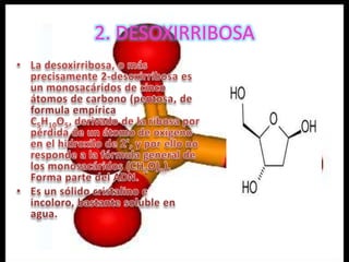 Diapositivas de introduccion