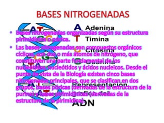 Diapositivas de introduccion
