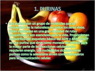 Diapositivas de introduccion