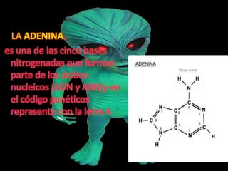 Diapositivas de introduccion