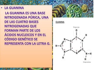 Diapositivas de introduccion