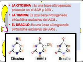 Diapositivas de introduccion