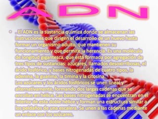 Diapositivas de introduccion