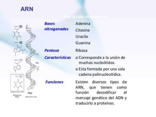 Diapositivas de introduccion