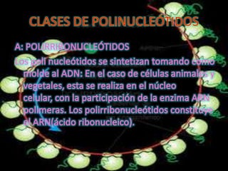 Diapositivas de introduccion