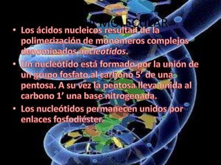 ESTRUCTURA MOLECULAR

 