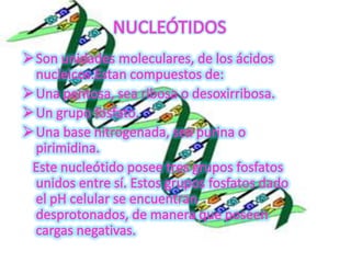 Diapositivas de introduccion