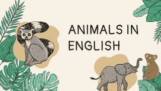 ANIMALS IN
ENGLISH
 