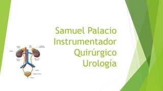Samuel Palacio
Instrumentador
Quirúrgico
Urología
 