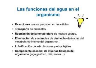 Calidad del agua en el cuerpo humano y su uso | PDF