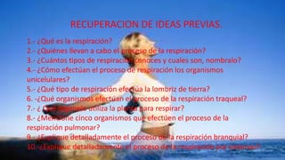 RECUPERACION DE IDEAS PREVIAS.
1.- ¿Qué es la respiración?
2.- ¿Quiénes llevan a cabo el proceso de la respiración?
3.- ¿Cuántos tipos de respiración conoces y cuales son, nombralo?
4.- ¿Cómo efectúan el proceso de respiración los organismos
unicelulares?
5.- ¿Qué tipo de respiración efectúa la lombriz de tierra?
6. -¿Qué organismos efectúan el proceso de la respiración traqueal?
7.- ¿ Qué organelo utiliza la planta para respirar?
8.- ¿Mencione cinco organismos que efectúen el proceso de la
respiración pulmonar?
9.- ¿Explique detalladamente el proceso de la respiración branquial?
10.-¿Explique detalladamente el proceso de la respiración por estomas?

 