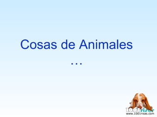Cosas de Animales … 