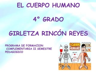 EL CUERPO HUMANO

                4° GRADO

  GIRLETZA RINCÓN REYES
PROGRAMA DE FORMACION
 COMPLEMENTARIA II SEMESTRE
PEDAGOGICO
 