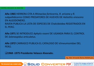 Ing. Eber Armando Ramos Mollehuara
CONTROL BIOLOGICO DE INSECTOS
Año 1965 HERRERA CITA A Rhinacloa forticornis, R. aricana y R.
subpallidicornis COMO PREDATORES DE HUEVOS DE Heliothis virescens
EN ALGODONERO.
RAVEN PUBLICA LA LISTA DE ESPECIES DE Chalcidoidea REGISTRADOS EN
EL PERÚ.
Año 1971 SE INTRODUCE Aphytis roseni DE UGANDA PARA EL CONTROL
DE Selenaspidus articulatus.
Año 1972 CARRASCO PUBLICA EL CATALOGO DE Ichneumonidae DEL
PERÚ.
1968 -1975 Presidente Velasco Alvarado.
 