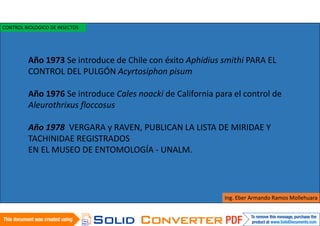 Año 1973 Se introduce de Chile con éxito Aphidius smithi PARA EL
CONTROL DEL PULGÓN Acyrtosiphon pisum
Año 1976 Se introduce Cales noacki de California para el control de
Aleurothrixus floccosus
Año 1978 VERGARA y RAVEN, PUBLICAN LA LISTA DE MIRIDAE Y
TACHINIDAE REGISTRADOS
EN EL MUSEO DE ENTOMOLOGÍA - UNALM.
Ing. Eber Armando Ramos Mollehuara
CONTROL BIOLOGICO DE INSECTOS
 