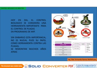 HOY EN DIA, EL CONTROL
BIOLOGICO SE CONSIDERA UNA
HERRAMIENTA IMPORTANTE PARA
EL CONTROL DE PLAGAS
EN PROGRAMAS DE MIP.
SIN EMBARGO ESTA IMPORTANCIA,
NO ES NUEVA, PUES SU PAPEL
COMO HERRAMIENTA CONTRA LAS
PLAGAS,
SE REMONTAN MUCHOS AÑOS
ATRAS
Ing. Eber Armando Ramos Mollehuara
CONTROL BIOLOGICO DE INSECTOS
 