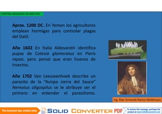Aprox. 1200 DC. En Yemen los agricultores
emplean hormigas para controlar plagas
del Datil.
Año 1602 En Italia Aldovandri identifica
pupas de Cotesia glomeratus en Pieris
rapae, pero pensó que eran huevos de
insectos.
Año 1702 Van Leeuwenhoek describe un
parasito de la “Avispa sierra del Sauce”
Nematus oligospilus se le atribuye ser el
primero en entender el parasitismo.
Ing. Eber Armando Ramos Mollehuara
CONTROL BIOLOGICO DE INSECTOS
 