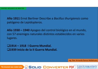 Año 1911 Ernst Berliner Describe a Bacillus thurigiensis como
patógeno de Lepidopteros.
Año 1930 – 1940 Apogeo del control biológico en el mundo,
con 57 enemigos naturales distintos establecidos en varios
lugares.
1914 – 1918 I Guerra Mundial.
1939 Inicio de la II Guerra Mundial.
Ing. Eber Armando Ramos Mollehuara
CONTROL BIOLOGICO DE INSECTOS
 