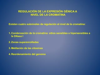 Existen cuatro subniveles de regulación al nivel de la cromatina:
1. Condensación de la cromatina: sitios sensibles e hipersensibles a
la DNasa I
2. Zonas superenrolladas
3. Metilación de las citosinas
4. Reordenamiento del genoma
REGULACIÓN DE LA EXPRESIÓN GÉNICA A
NIVEL DE LA CROMATINA
 