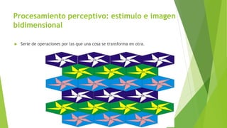 Procesamiento perceptivo: estímulo e imagen
bidimensional
 Serie de operaciones por las que una cosa se transforma en otra.
 