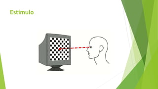 Estímulo
 