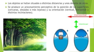  Los objetos se hallan situados a distintas distancias y unos delante de otros.
 Se produce un procesamiento perceptivo de la posición de las superficies
(cercanas, alejadas o más lejanas) y su orientación (vertical, horizontal y
distintas inclinaciones).
 
