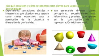 ¿En qué consisten y cómo se generan estas claves para la percepción de la
profundidad?
 Experimenta sensaciones táctiles y
kinestésicas que ulteriormente operan
como claves espaciales para la
percepción de la distancia o
dimensión de profundidad.
 Van generando diversas claves
perceptivas, sucesivamente más
informativas y precisas, que operan
en la construcción de la
representación tridimensional.
 