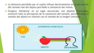  La distancia percibida por el sujeto influye decisivamente en la percepción
del tamaño real del objeto percibido o constancia del mismo.
 Gregory; Hochberg: en un lugar oscurecido, con objetos iluminados;
entonces falla la percepción de la constancia del tamaño, percibiéndose el
tamaño del objeto en relación con el tamaño de la imagen retiniana.
 