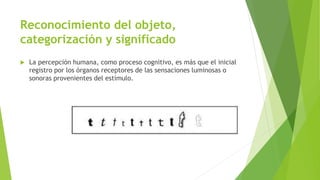 Reconocimiento del objeto,
categorización y significado
 La percepción humana, como proceso cognitivo, es más que el inicial
registro por los órganos receptores de las sensaciones luminosas o
sonoras provenientes del estímulo.
 