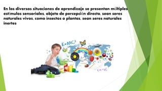 En las diversas situaciones de aprendizaje se presentan múltiples
estímulos sensoriales, objeto de percepción directa, sean seres
naturales vivos, como insectos o plantas, sean seres naturales
inertes
 