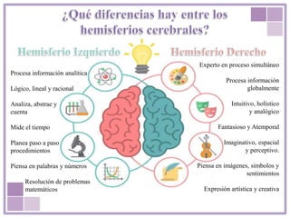 Procesa información analítica
Lógico, lineal y racional
Analiza, abstrae y
cuenta
Mide el tiempo
Planea paso a paso
procedimientos
Piensa en palabras y números
Resolución de problemas
matemáticos
Experto en proceso simultáneo
Procesa información
globalmente
Intuitivo, holístico
y analógico
Fantasioso y Atemporal
Imaginativo, espacial
y perceptivo.
Piensa en imágenes, símbolos y
sentimientos
Expresión artística y creativa
 
