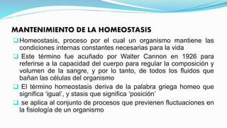 MANTENIMIENTO DE LA HOMEOSTASIS
Homeostasis, proceso por el cual un organismo mantiene las
condiciones internas constantes necesarias para la vida
 Este término fue acuñado por Walter Cannon en 1926 para
referirse a la capacidad del cuerpo para regular la composición y
volumen de la sangre, y por lo tanto, de todos los fluidos que
bañan las células del organismo
 El término homeostasis deriva de la palabra griega homeo que
significa ‘igual’, y stasis que significa ‘posición’
 se aplica al conjunto de procesos que previenen fluctuaciones en
la fisiología de un organismo
 