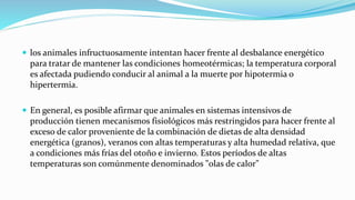  los animales infructuosamente intentan hacer frente al desbalance energético
para tratar de mantener las condiciones homeotérmicas; la temperatura corporal
es afectada pudiendo conducir al animal a la muerte por hipotermia o
hipertermia.
 En general, es posible afirmar que animales en sistemas intensivos de
producción tienen mecanismos fisiológicos más restringidos para hacer frente al
exceso de calor proveniente de la combinación de dietas de alta densidad
energética (granos), veranos con altas temperaturas y alta humedad relativa, que
a condiciones más frías del otoño e invierno. Estos períodos de altas
temperaturas son comúnmente denominados "olas de calor"
 