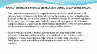 CARACTERISTICAS EXTERNAS EN RELACION CON EL BALANCE DEL CALOR.
 Para mantener su temperatura corporal constante el calor producido más el
calor ganado eventualmente desde el exterior (por ejemplo, por radiación solar
directa), deben igualar al calor perdido. Los intercambios de calor son regulados
de forma tal que, en un período dado de tiempo, el calor producido dentro del
cuerpo sea igual a la cantidad de calor perdido (equilibrio térmico), permitiendo
así el mantenimiento de una temperatura corporal constante.
 El ambiente que rodea al animal, en cualquier instante particular, tiene
influencia sobre la cantidad de calor intercambiado entre el mismo y su
ambiente, el que consecuentemente tiene influencia sobre los ajustes
fisiológicos que el animal debe realizar para mantener su balance de calor
corporal.
 